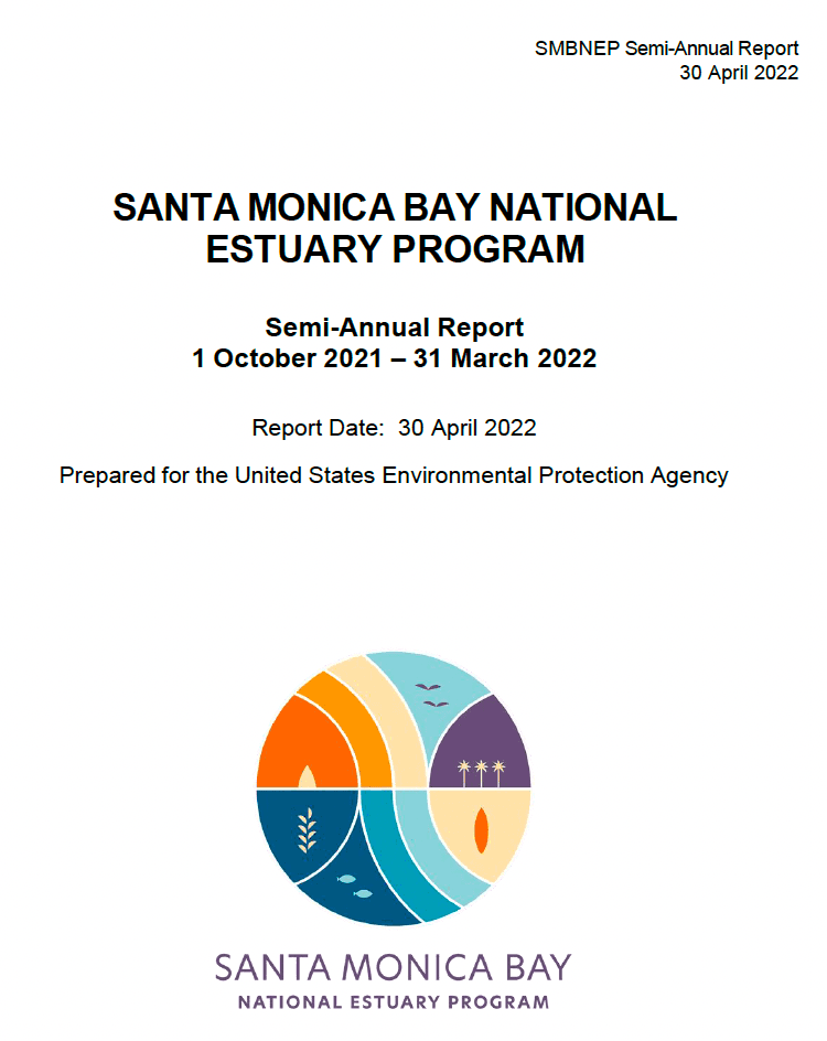 Report cover page displaying SMBNEP logo