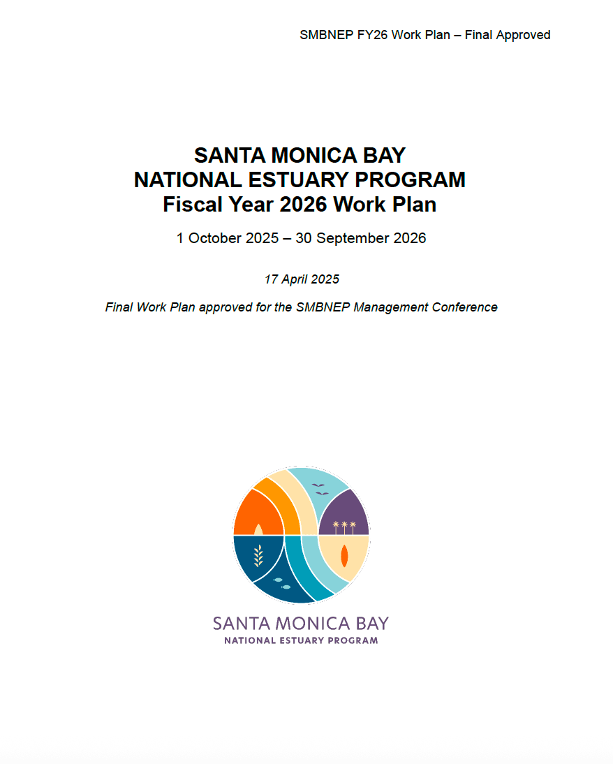 SMBNEP logo with cover page