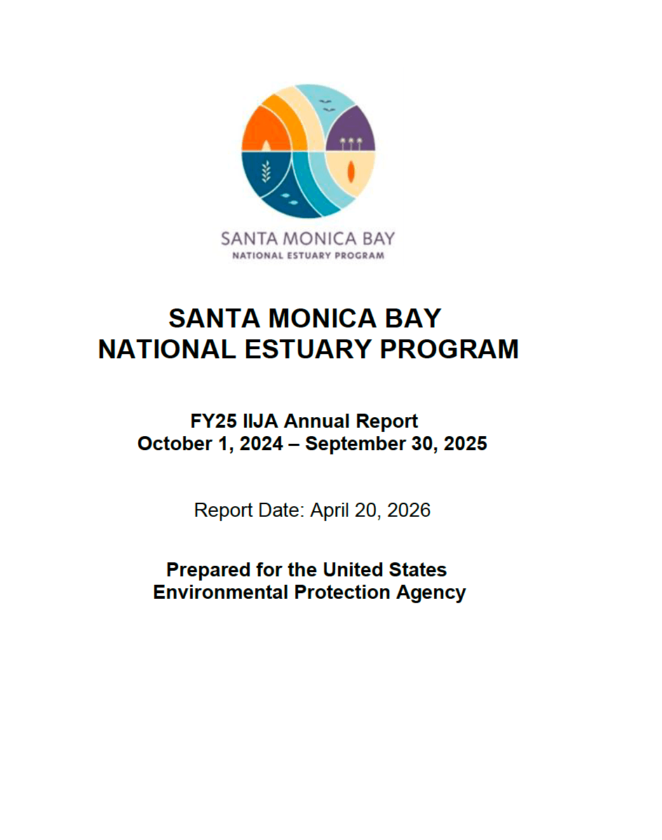 SMBNEP logo, annual report title