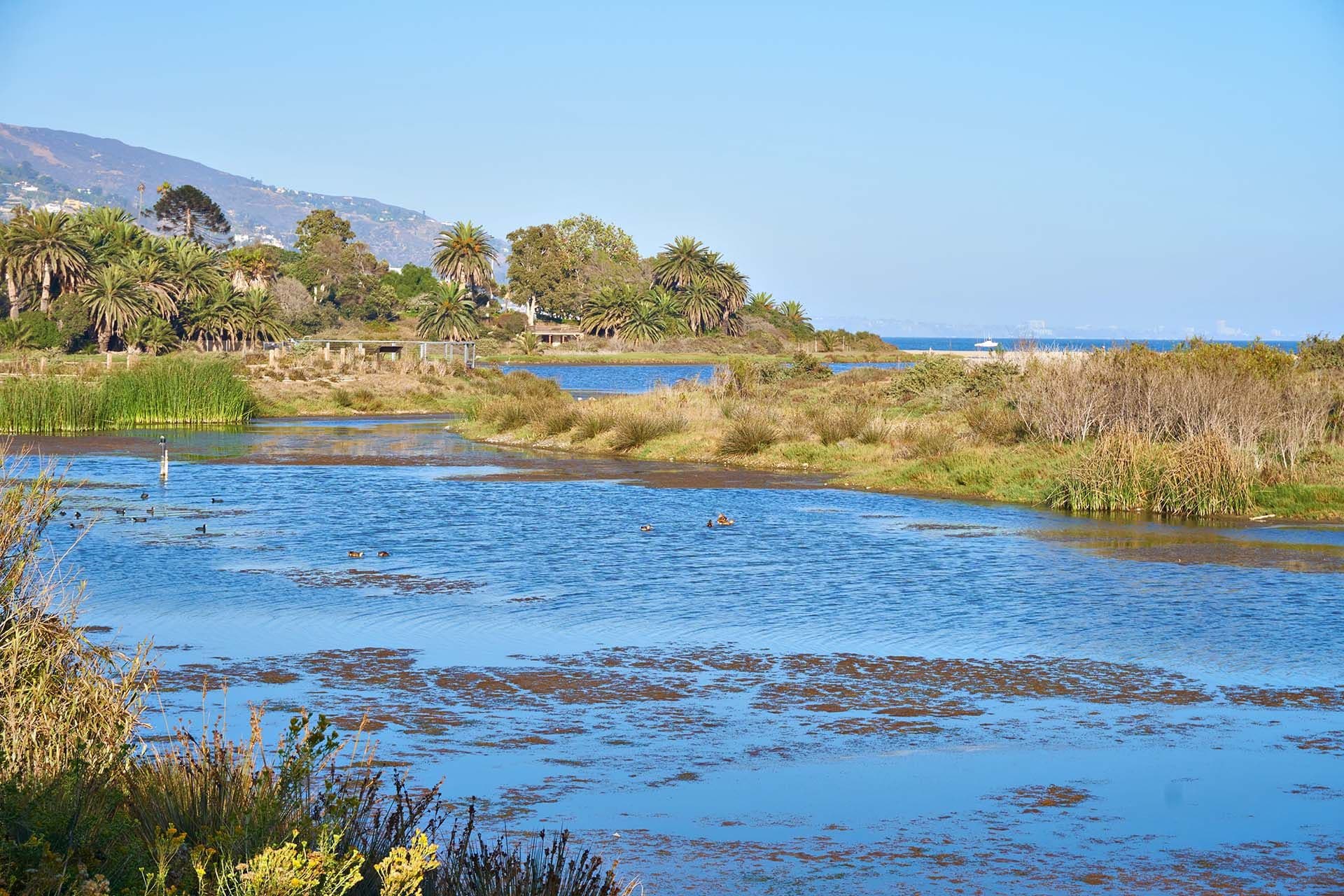 malibu-lagoon - lagoon