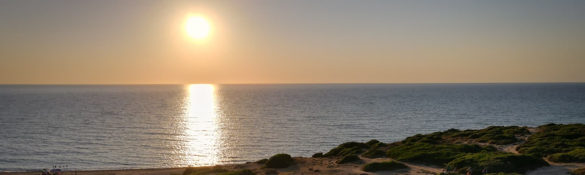 beautiful-shot-sunset-scenery-with-greenery-seashore