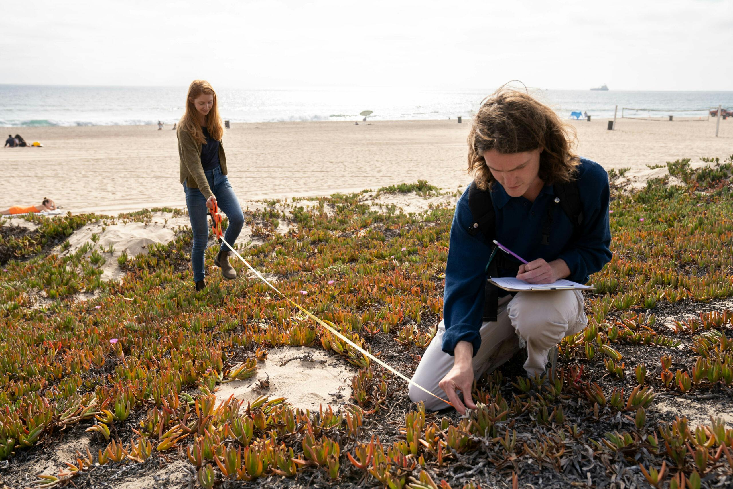 Protecting and Restoring the Bay and its Watershed